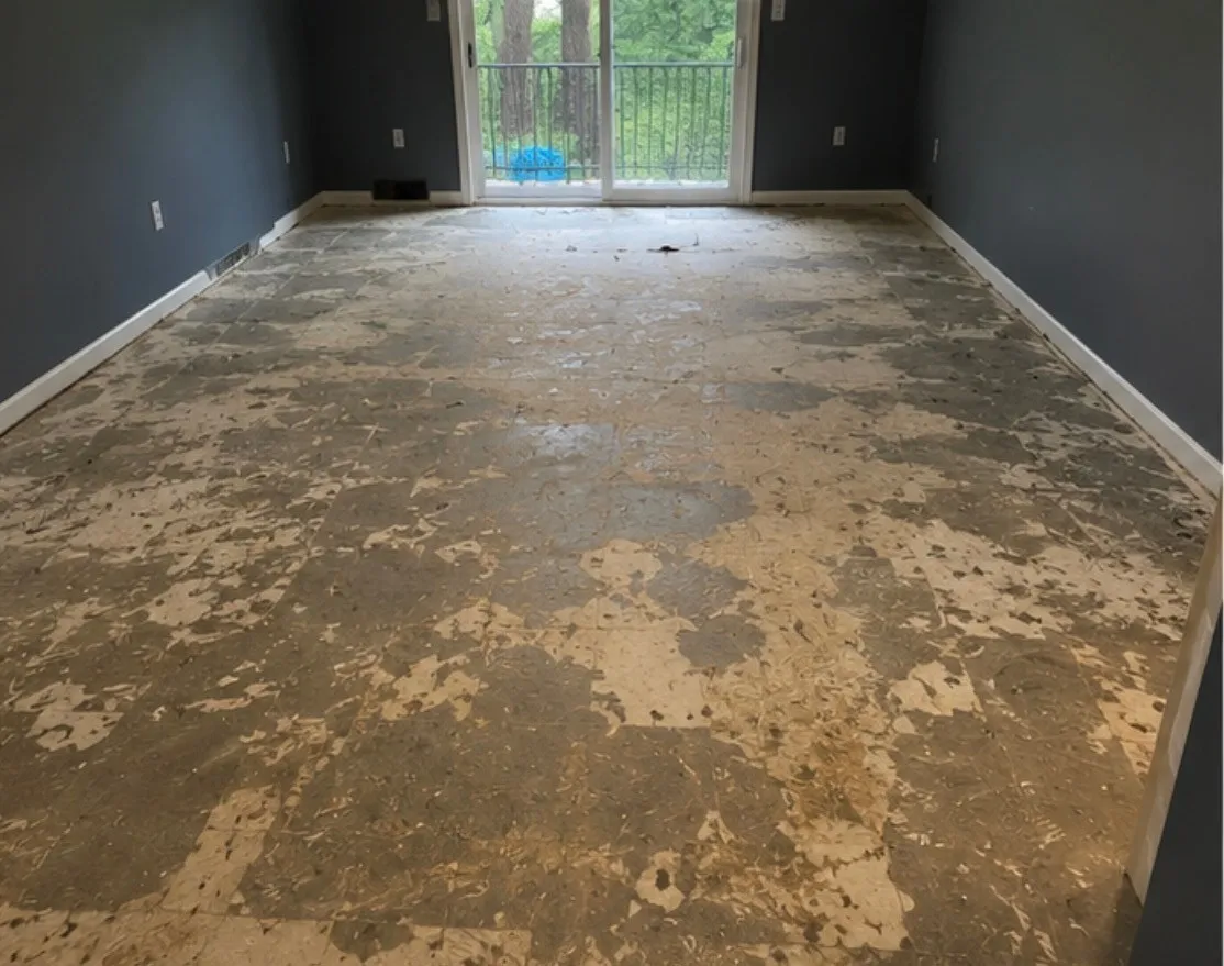 Concrete slab with old adhesive after floor removal